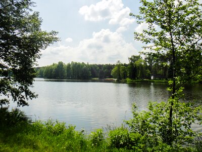 Nature landscape pond