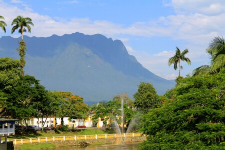 Brazilian atlantic forest landscape green