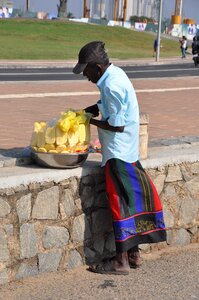 Srilanka travel pineapple seller
