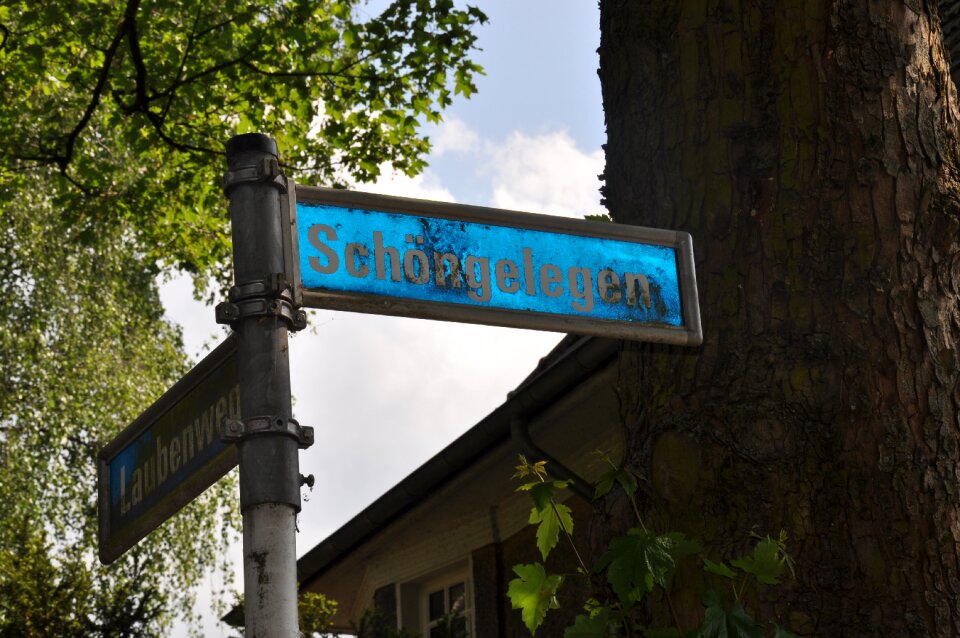 Road street sign cross