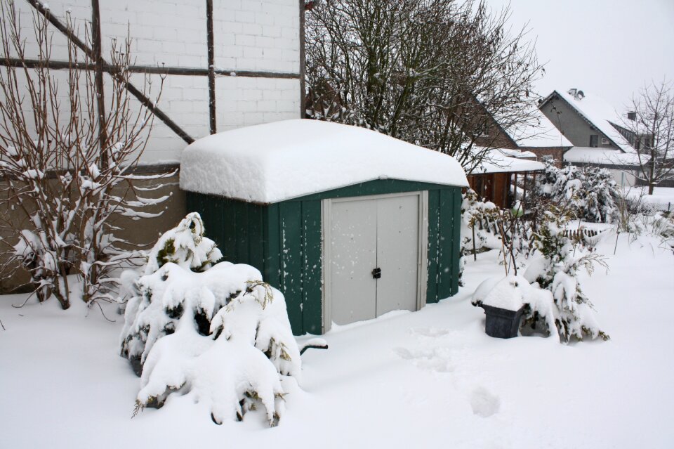 Snow snowy winter magic