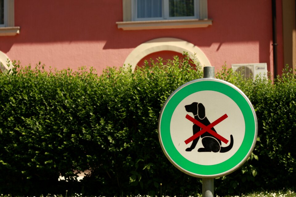 Message icon safety