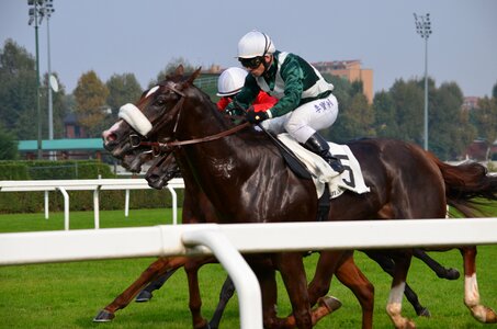 Hippodrome race arrival