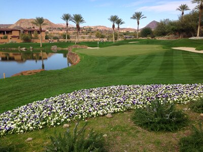 Putting putt