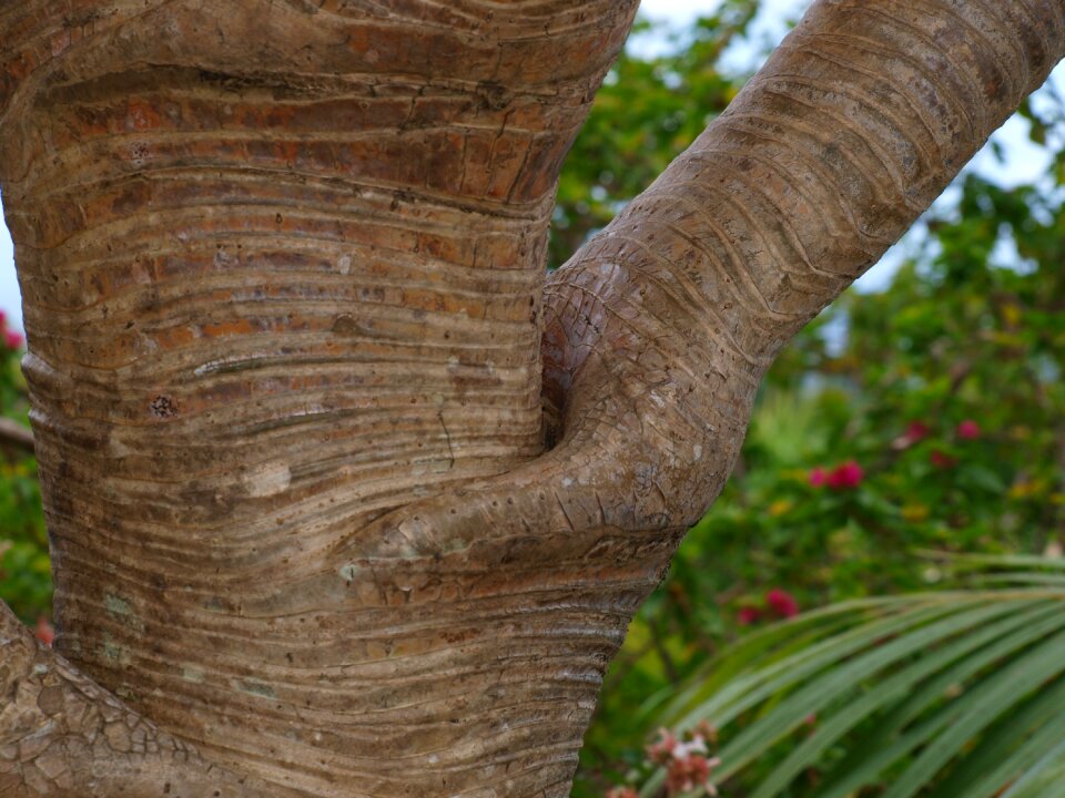 Reunion island island meeting