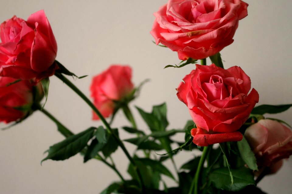 Love romance bouquet