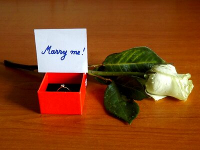 Rose message white