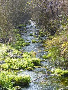 Siurana current natural water