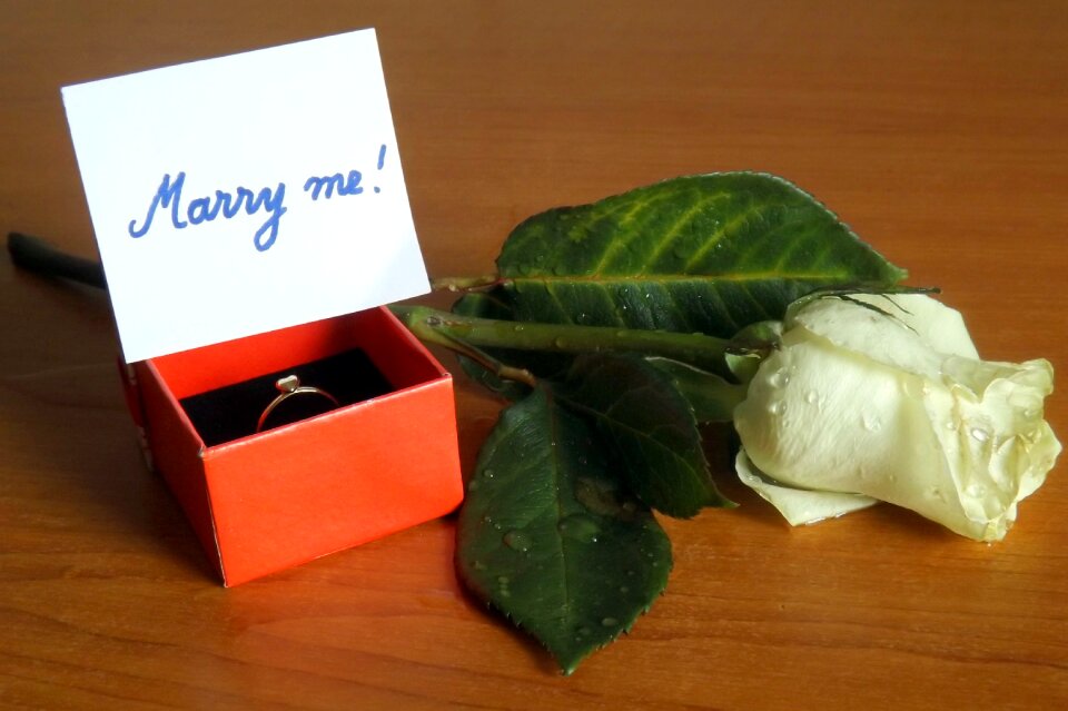 Rose message white