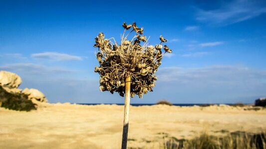 Soil summer thirst