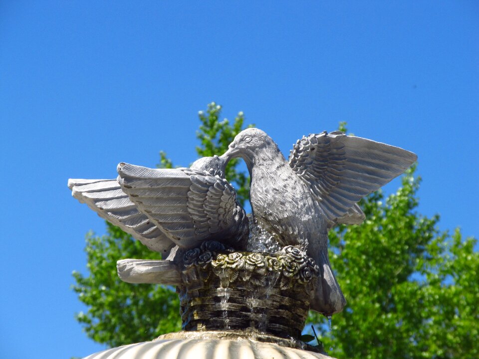 Fountain stone doves trees