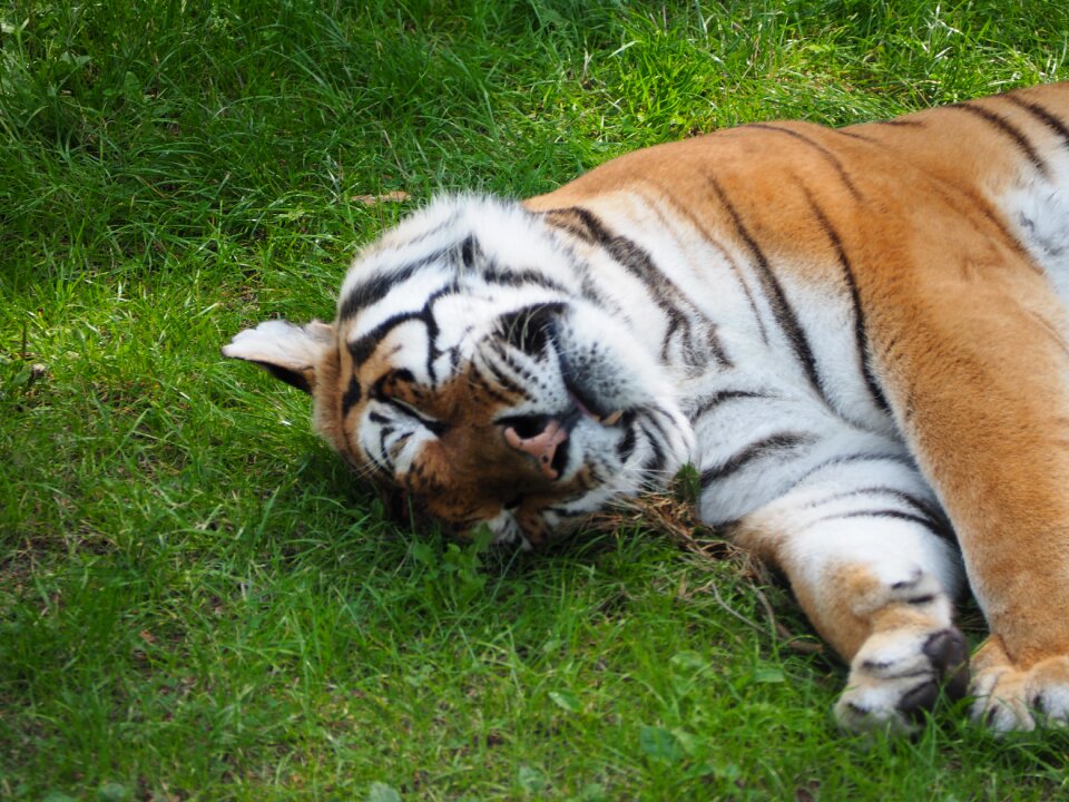 Serengeti park zoo germany