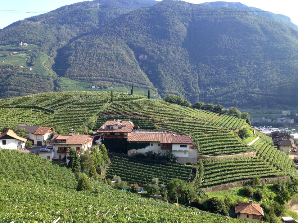Green tyrol winery