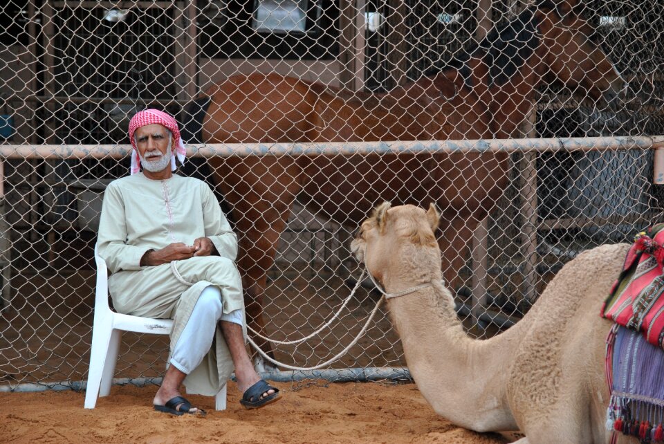 Desert emirates arabs photo