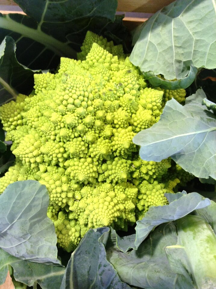 Vegetable green heart