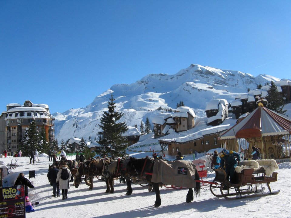Skiing ski horse-drawn