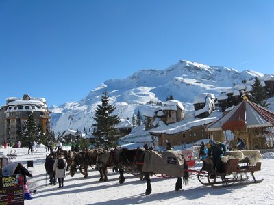 Skiing ski horse-drawn photo