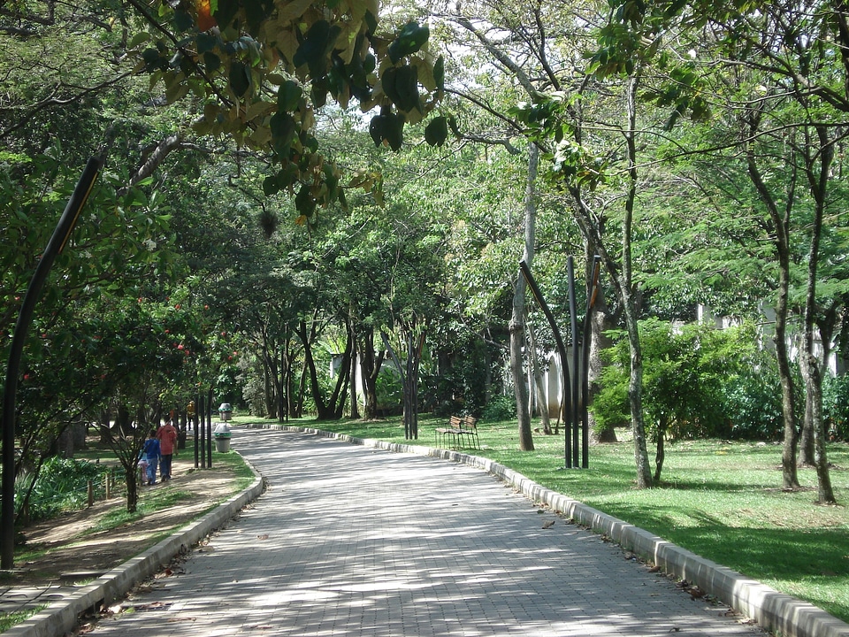 Pavement park walkway
