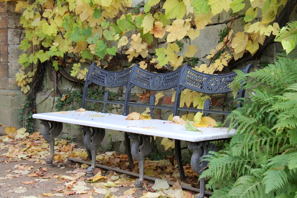Autumn leaves rest