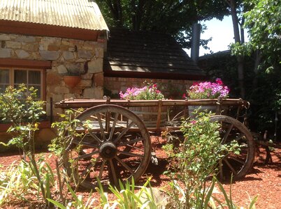 Cart flowers wheels