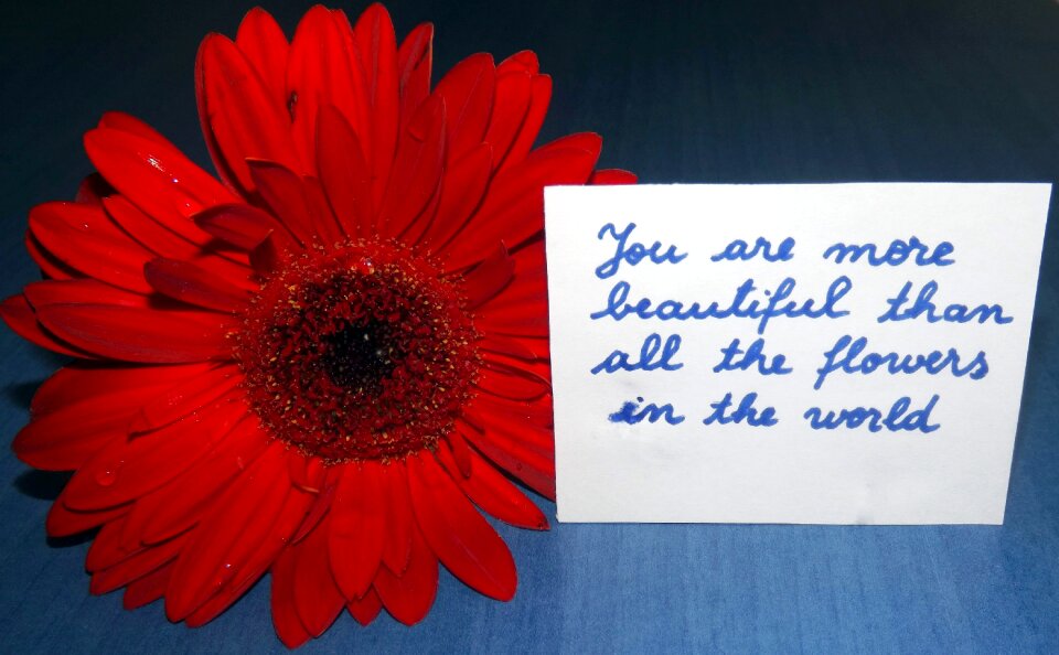Flowers message love