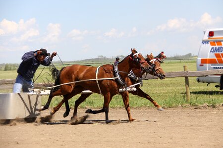 Chariot batoche
