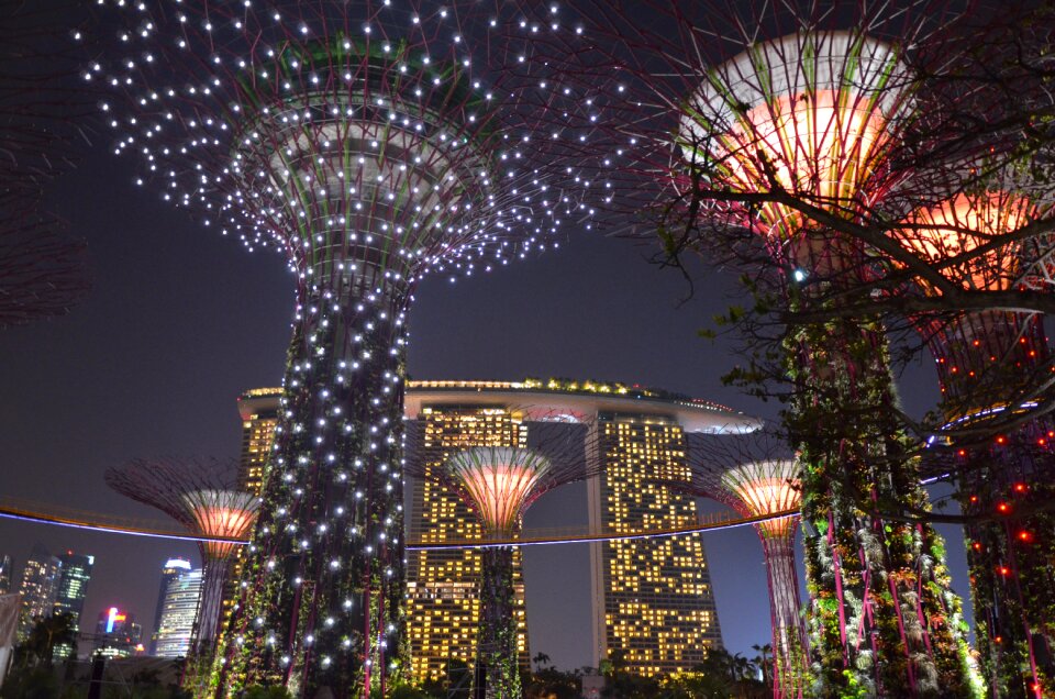 Fire artificial trees city