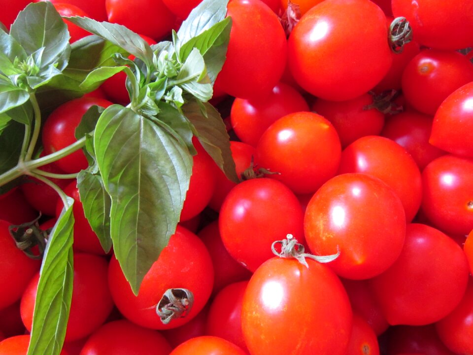 Green fresh vegetables