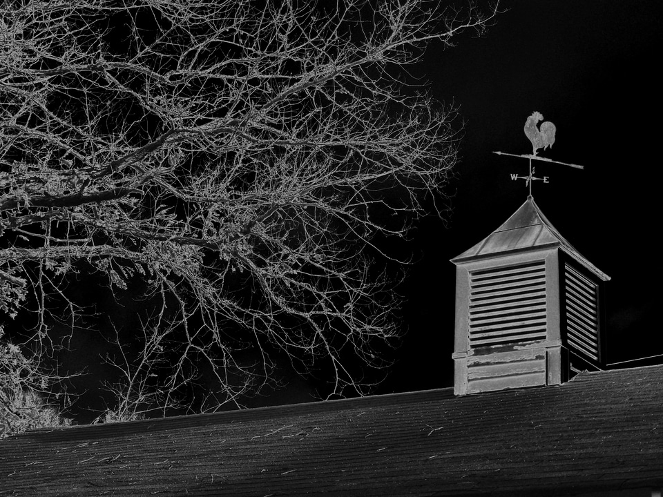 Weather vane rooster wind