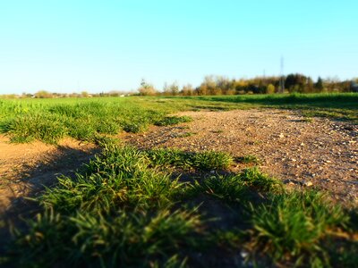 Landscape green calm