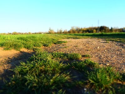 Landscape green calm photo