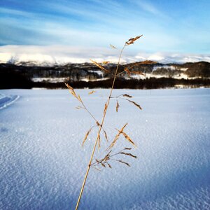 Dry grass landscape