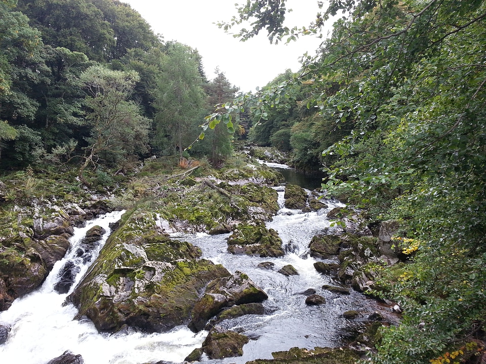 Moss rapids landscape