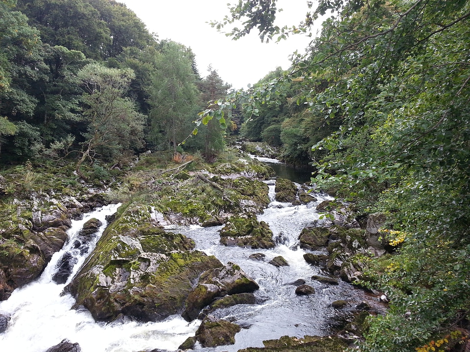 Moss rapids landscape photo