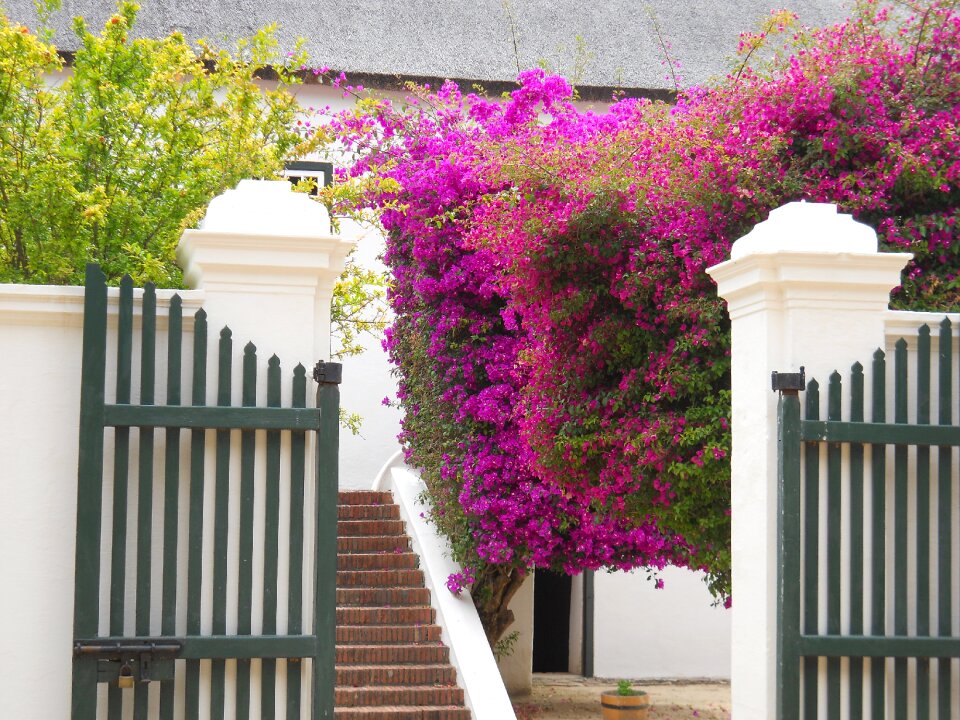 House winelands building