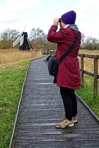 Bird watching discovery searching