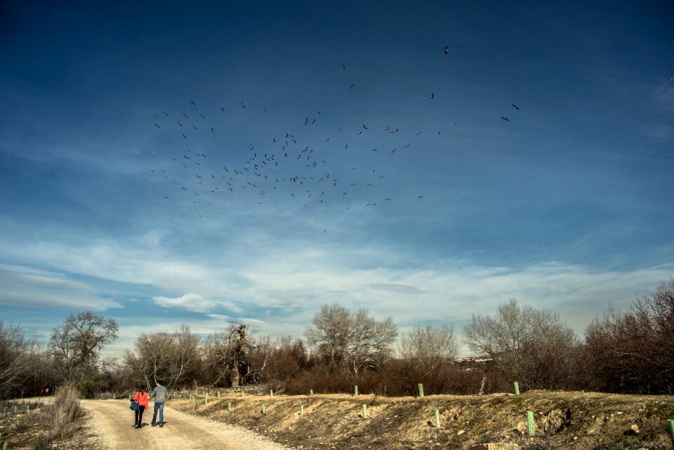 Migration path hiking