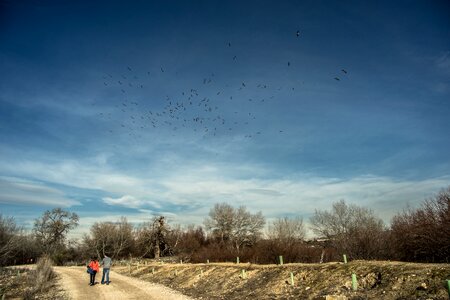 Migration path hiking
