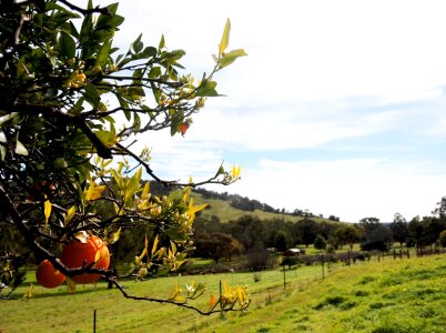 Landscape spring farm