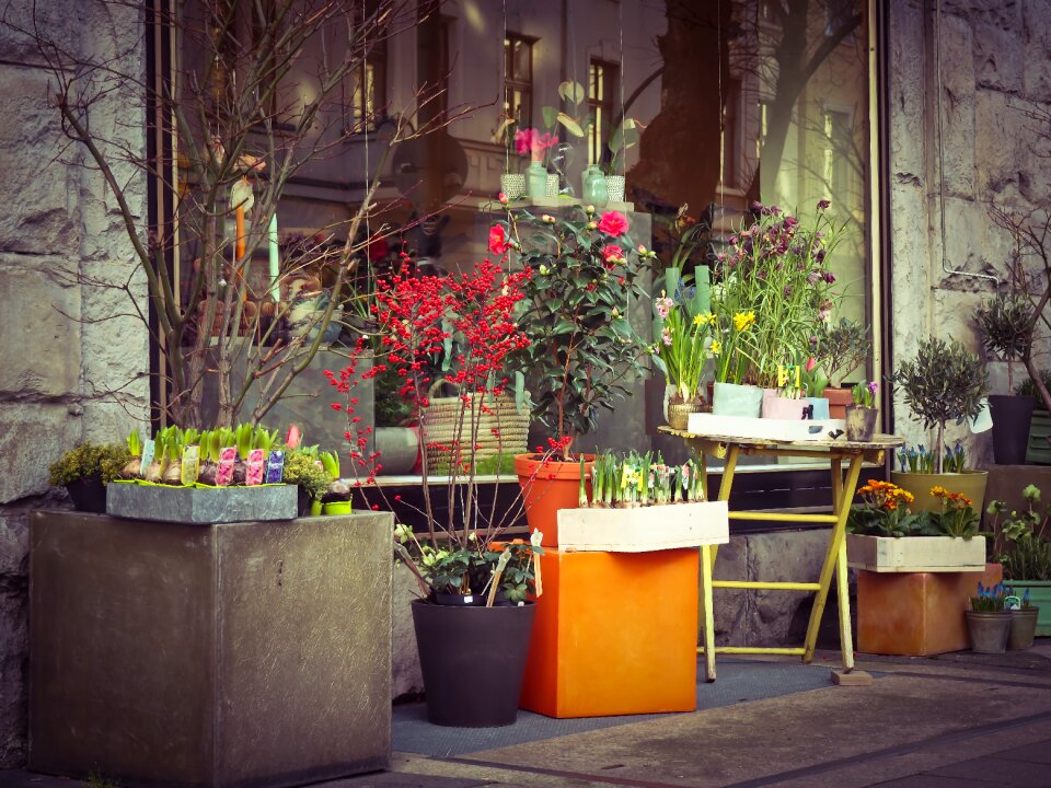 Floristry plant street scene