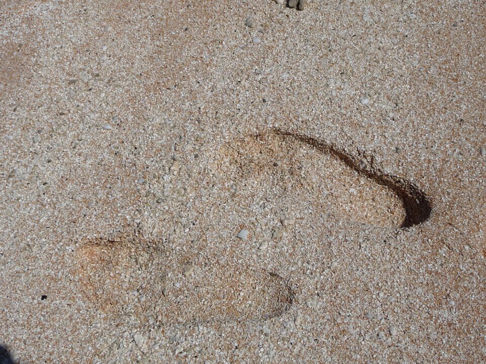 Feet beach foot trail
