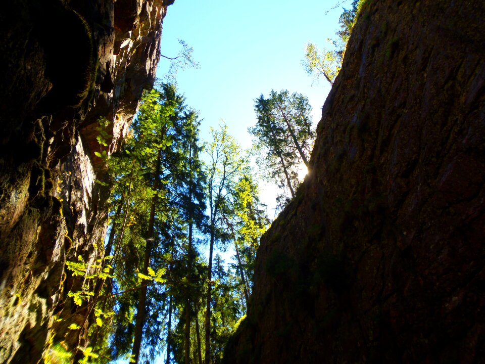 Tree sky travel