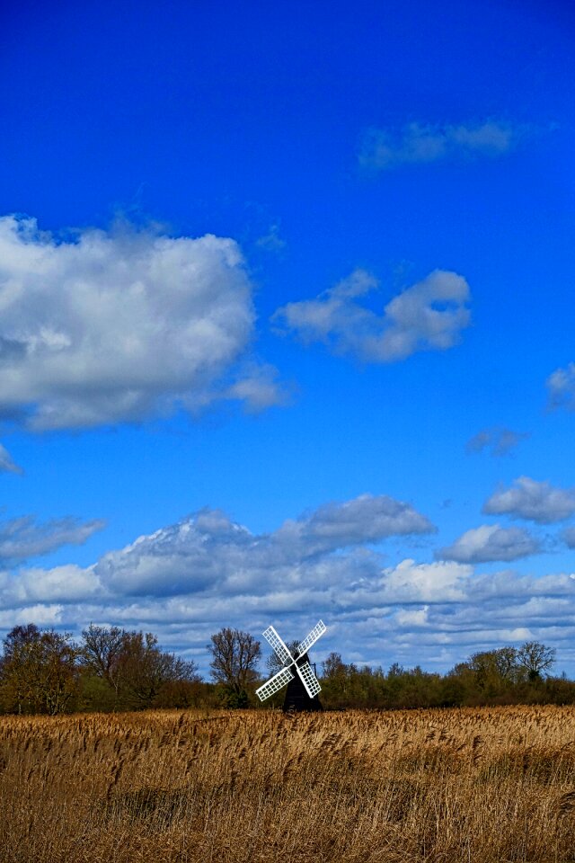 Field nature energy