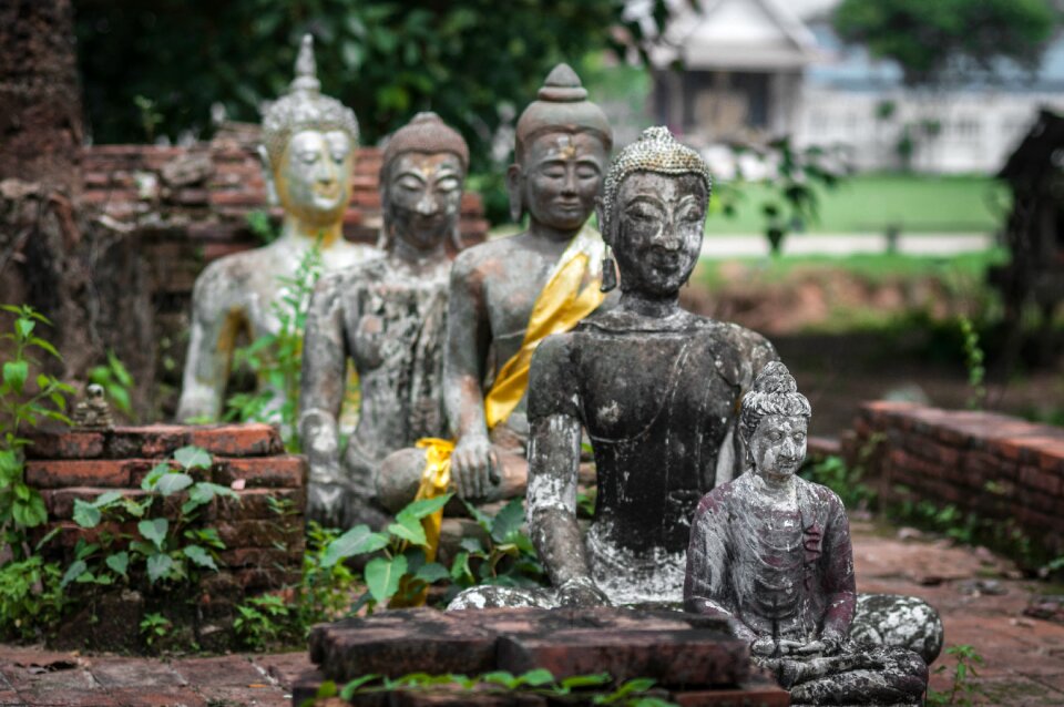 Religion culture buddha