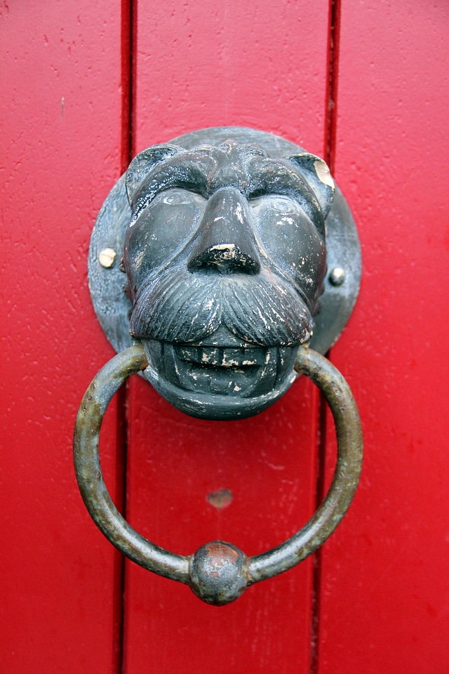 Lion head ring thumper
