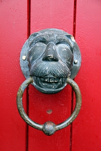 Lion head ring thumper