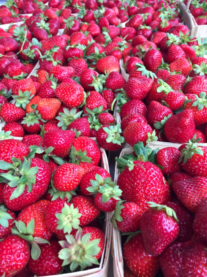 Juicy sweet berries