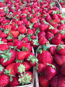 Juicy sweet berries
