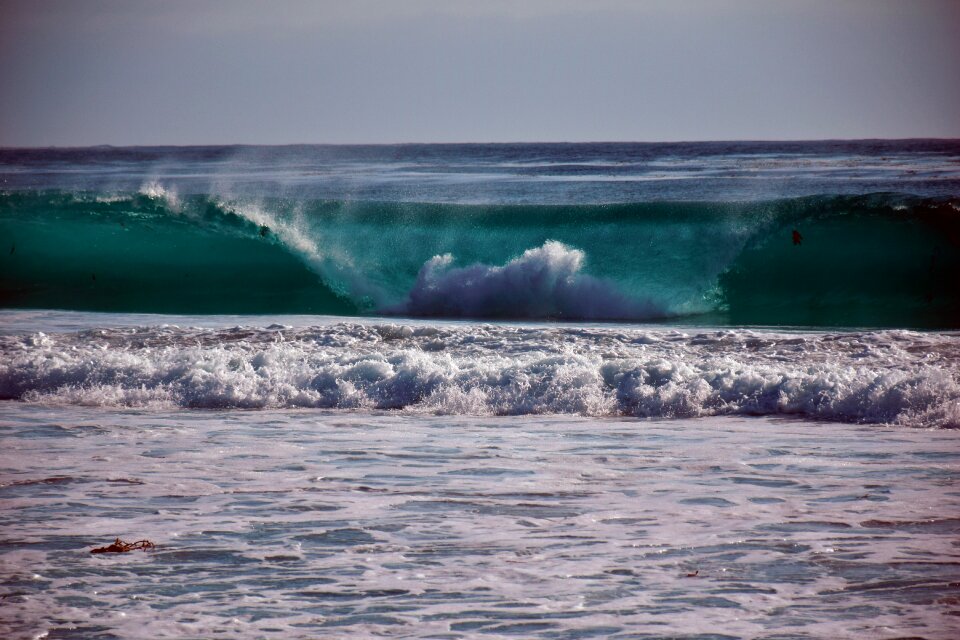 Coast big pacific