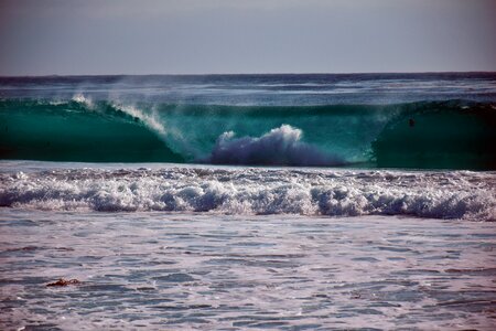 Coast big pacific